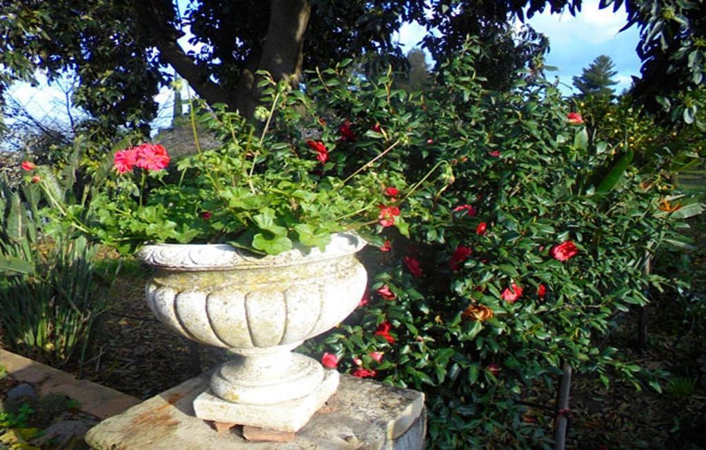 Bed and Breakfast Baglio Delle Rose Giarre Exterior foto