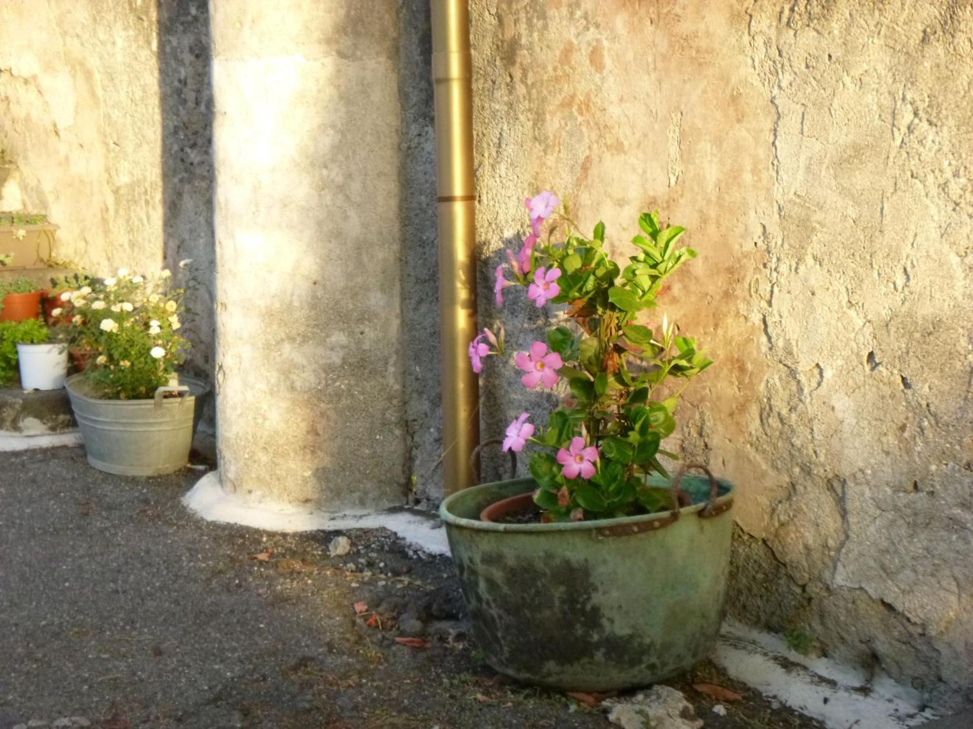 Bed and Breakfast Baglio Delle Rose Giarre Exterior foto