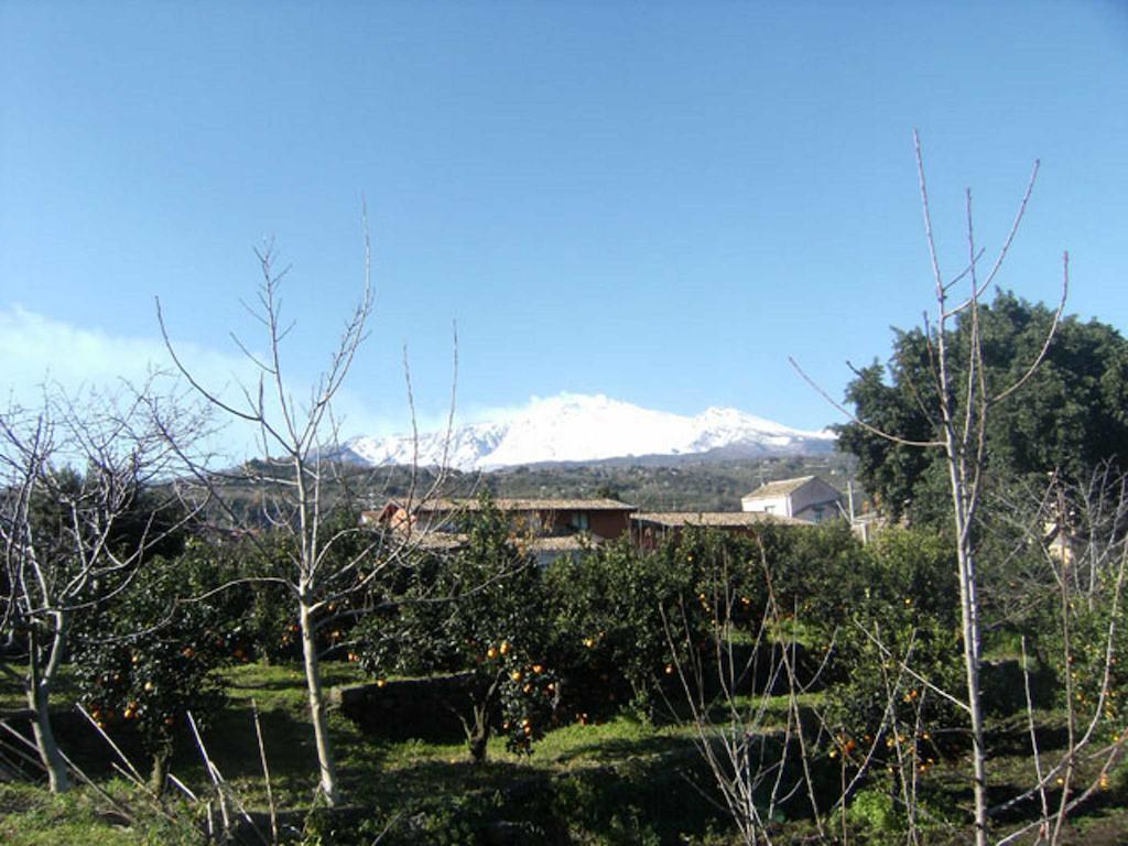Bed and Breakfast Baglio Delle Rose Giarre Exterior foto